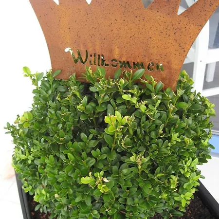 Апартаменты Willkommen Zuhause! Welcome Home! *